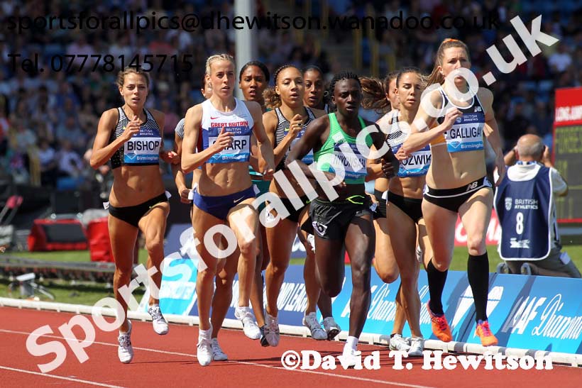 Womens 800 metres, IAAF Diamond League, Birmingham. Photo: David T. Hewitson/Sports for All Pics